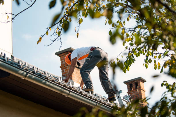Best Green or Eco-Friendly Roofing Solutions  in Red Lodge, MT