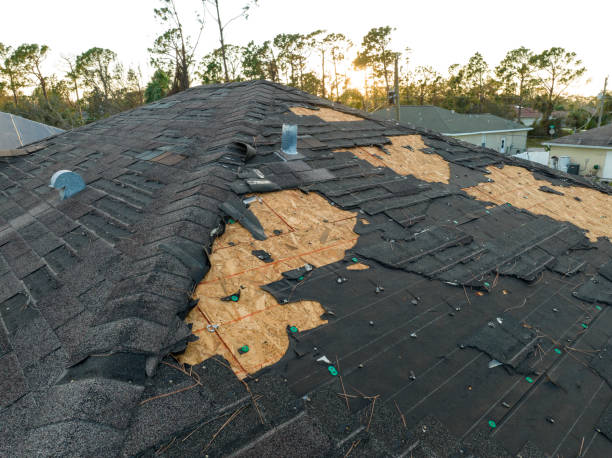 Best Wood Shake Roofing  in Red Lodge, MT
