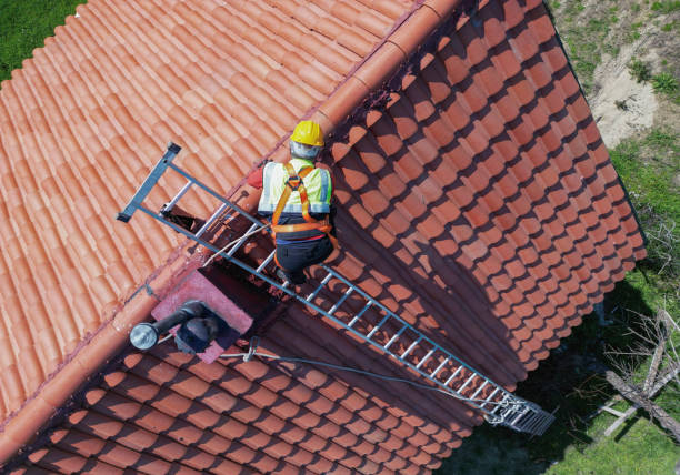 Best Roof Maintenance and Cleaning  in Red Lodge, MT