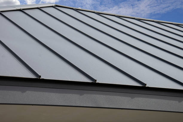 Best Roof Maintenance and Cleaning  in Red Lodge, MT